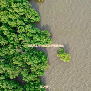 适合在家里工作波萨诺伐舞曲