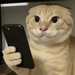 眼睛瞎在哈基米上