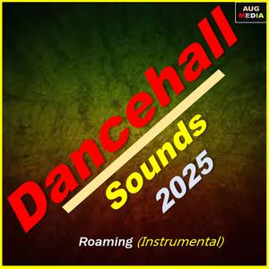 Roaming (Instrumental)