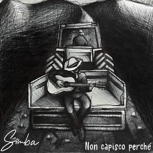 Non capisco perchè