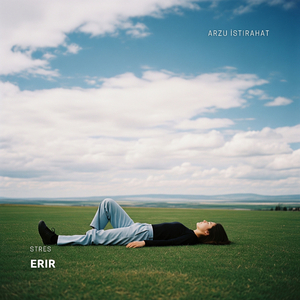 Yukarıya Bakma Sanatı