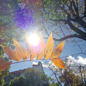 以你为名的夏天_音质.mp3