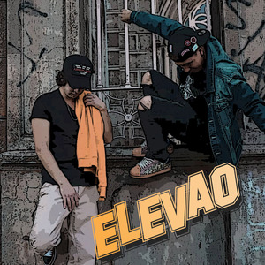 Elevao