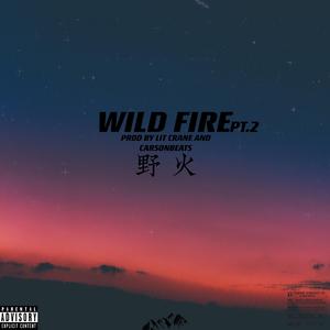 野火 pt.2(Prod by Lit crane and Carsonbeats)