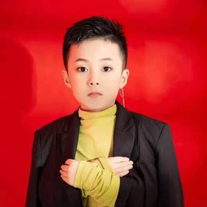 歌唱祖国—朱起辰/八音盒艺术