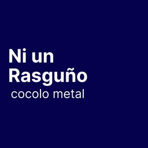 NI UN RASGUÑO