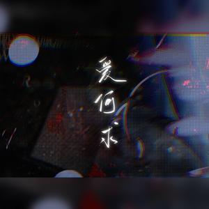 爱何求