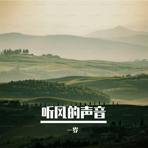 听风的声音