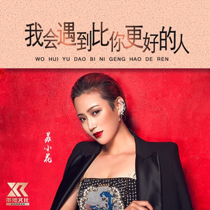 我会遇到比你更好的人 (DJ版)