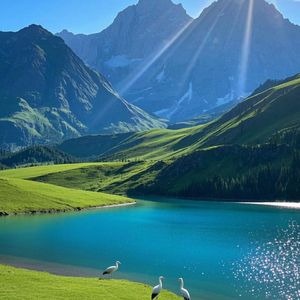 慢煮时光（古筝）