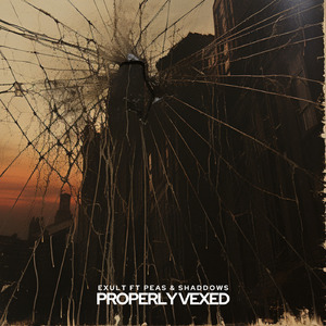 Properly Vexed (Dub Mix)
