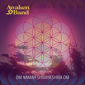 Om Namah Shivaya Shiva Om