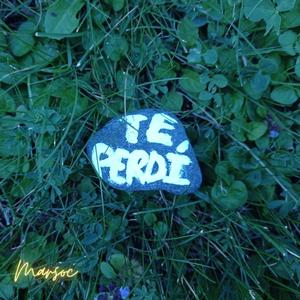 Te perdí