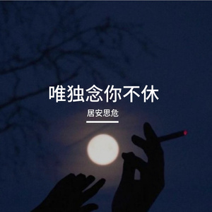 唯独念你不休