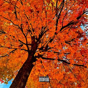 Afterparty (feat. Ridire)