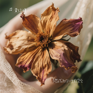 多想成为你一生的堡垒