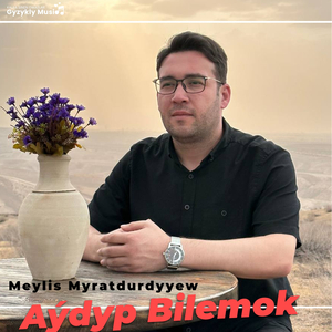 Aýdyp Bilemok