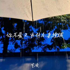 你不爱又为什么来撩拨