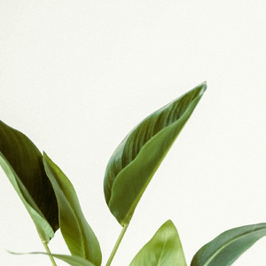 Contrasting Light And Dark