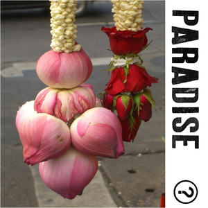 No Subscription to Your Paradise