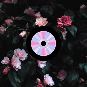 Небо на двох