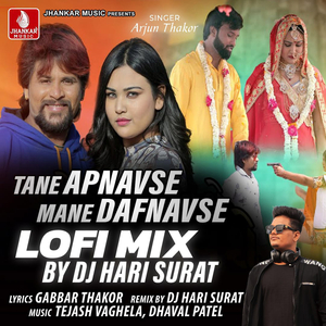 Tane Apnavse Mane Dafnavse (Lofi Mix)