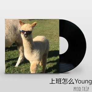 Pop Type Beat 上班怎么Young[Tr1p]