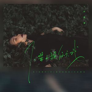 下辈子换你负我（DJ阿骏）