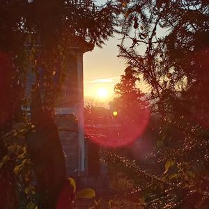 黄昏晓（片段）