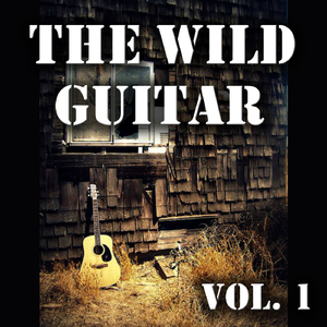 The Wild Guitar