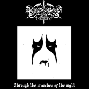 Through the branches of the night