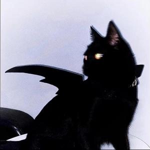 是朋友那样的喜欢