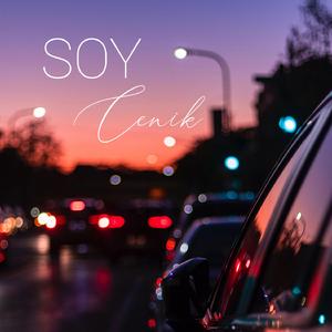 Soy