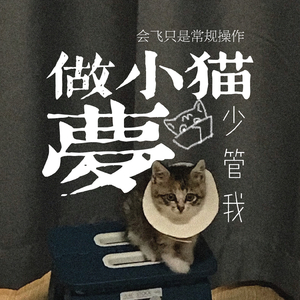 做小猫梦（feat.湘琴）