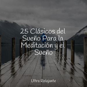 Desintoxicar el Cuerpo
