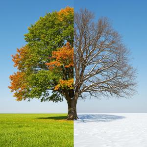 여름 – 《파도처럼》