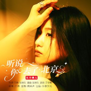 《听说你去了北京》