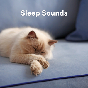 The Sound of the Rain