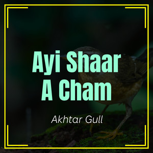 Baresa Yaa Bafesa Bs