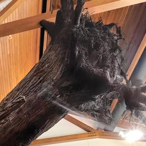 The Neighborhood Kids