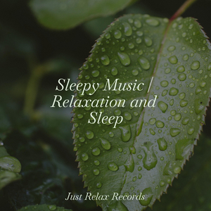 Peaches in Bloom A Daydream Symphony