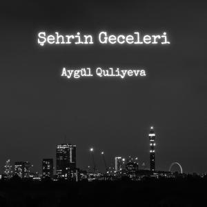 Şehrin Geceleri