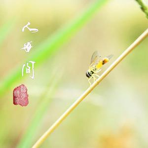 潘少逸-一叶知秋