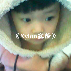 Xylon塞隆