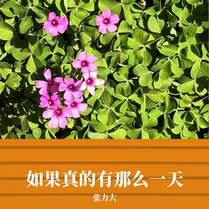 如果真的有那么一天 伴奏