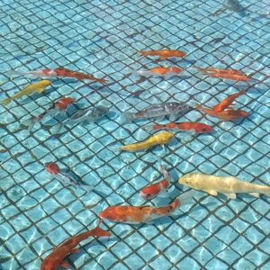 浴室禁地