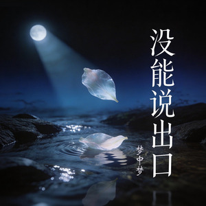 没能说出口