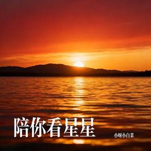 陪你看星星 (Cover 陈子晴)