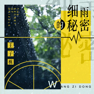 细雨的秘密