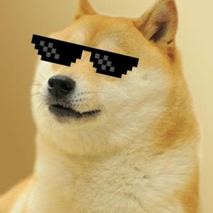I Love Dogecoin